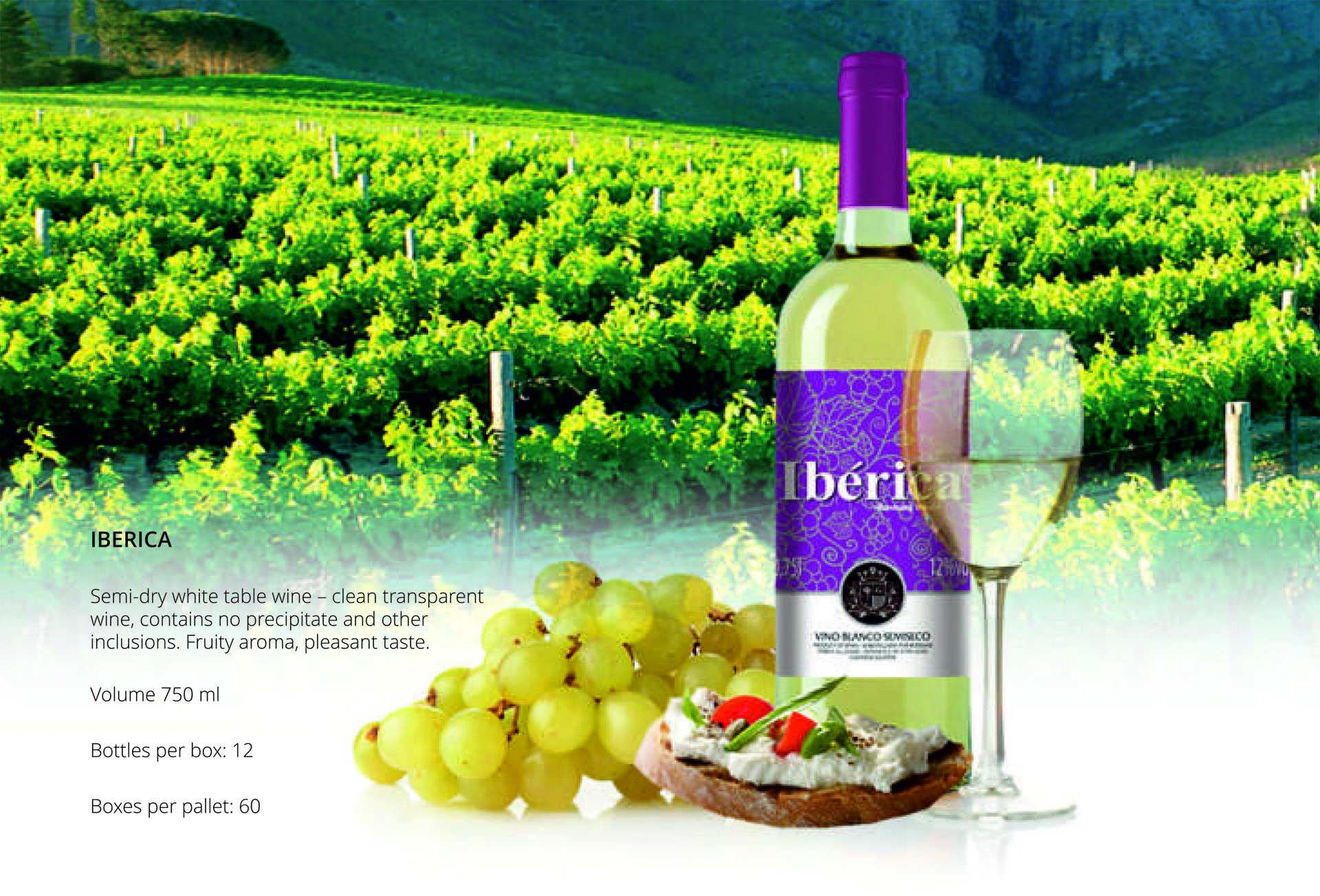 Iberica Catalogo de Vino 9